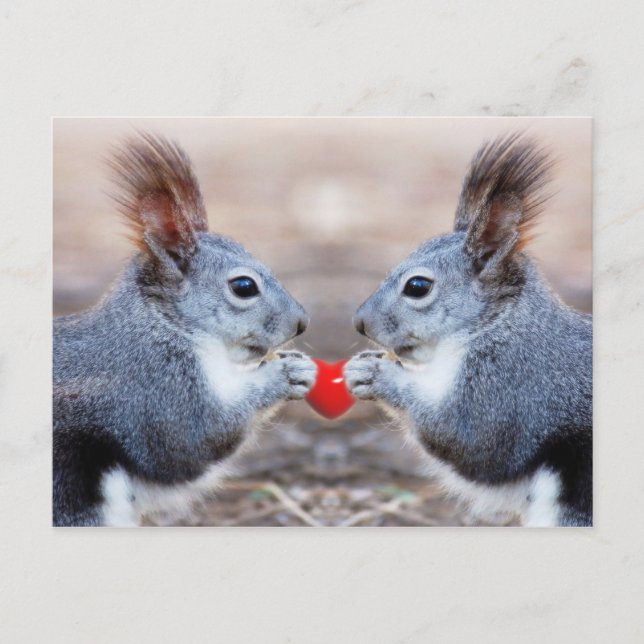Postales de Valentine Squirrels (Anverso)