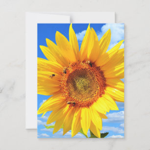 Postales de verano de abejas y girasoles