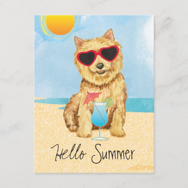 Postales de verano de Norwich Terrier (Anverso)