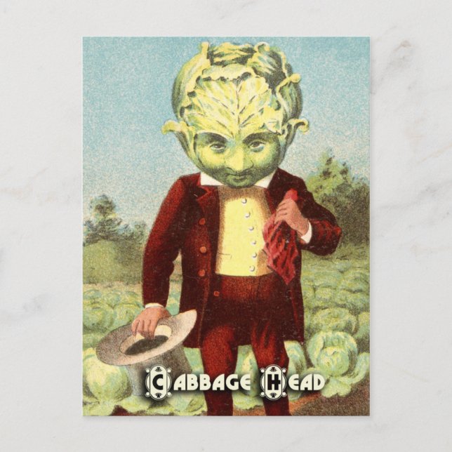 Postales de verduras vendibles: repollo (Anverso)