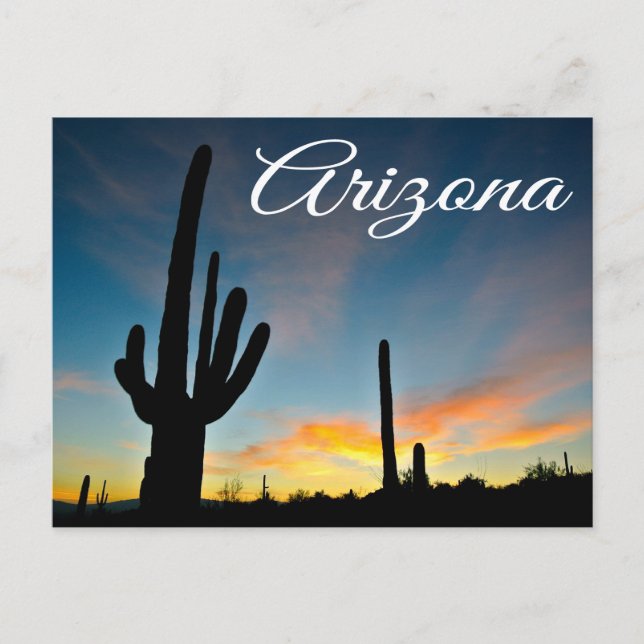 Postales de viaje de Arizona Sunrise Cactus & Dese (Anverso)