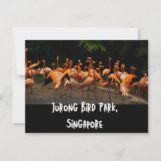 Postales de viaje de Singapur