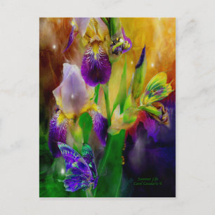 Postales de vida de verano