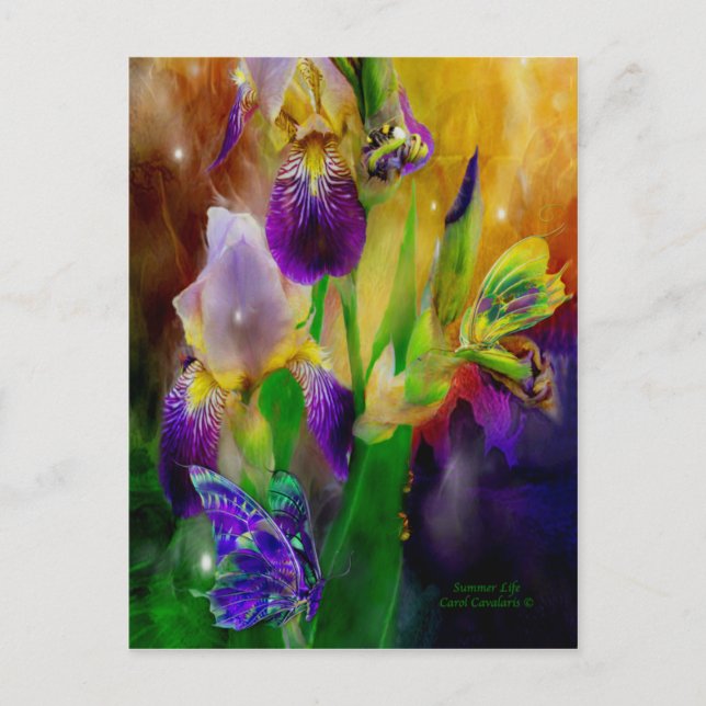 Postales de vida de verano (Anverso)