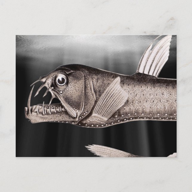 Postales de Viperfish (Anverso)