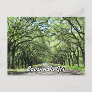 Postales de Wormsloe Plantation Savannah