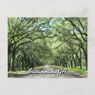 Postales de Wormsloe Plantation Savannah