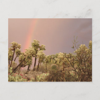 Postales del arco iris desierto
