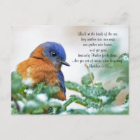 Postales del Bluebird Oriental Mateo 6:26