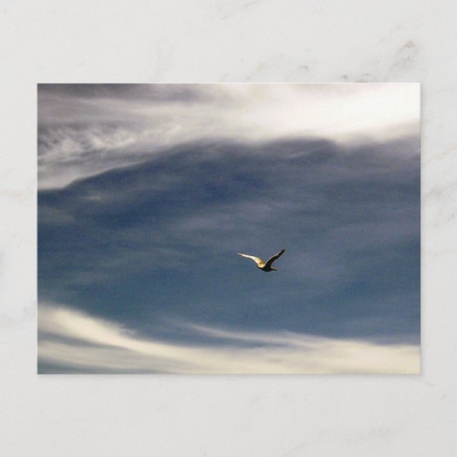 Postales del cielo de Gaviota (Anverso)