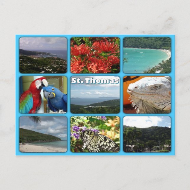 Postales del Collage de fotos de Santo Tomás (Anverso)