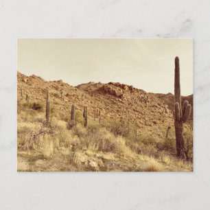 Postales del desierto de Arizona