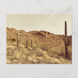 Postales del desierto de Arizona