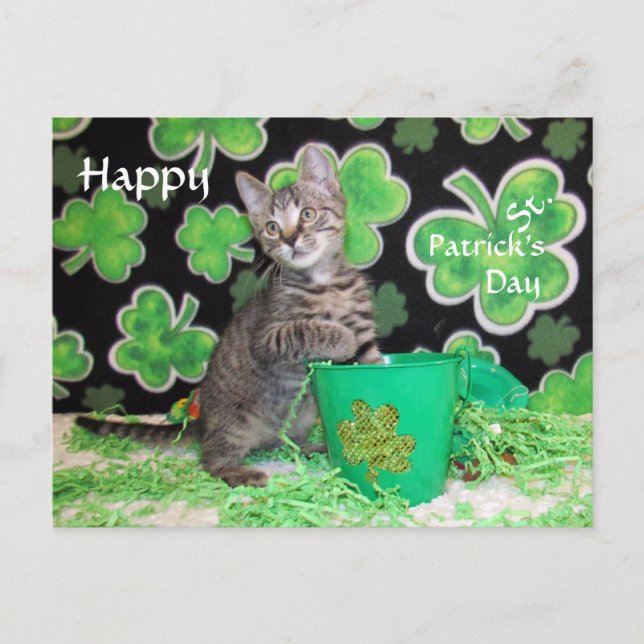 Postales del Día de San Patricio de Patton - Cat / (Anverso)