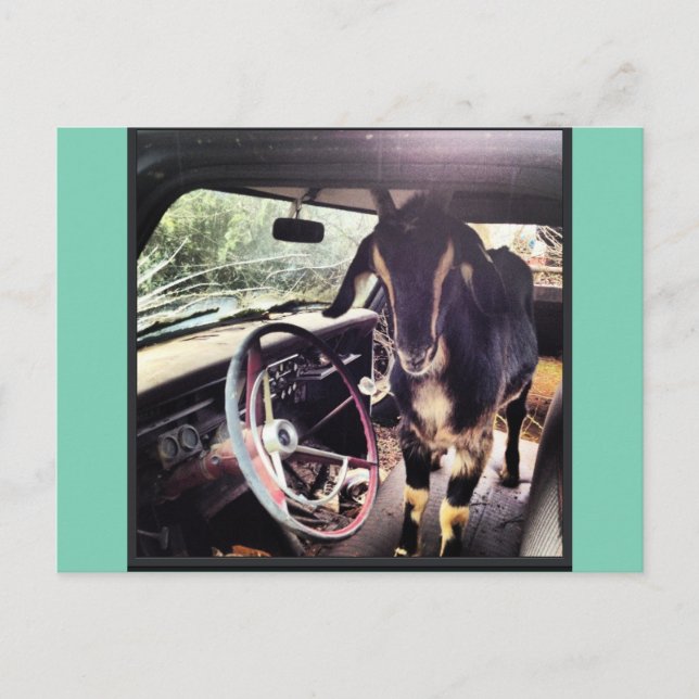 Postales del equipo de energía de la cabra (Anverso)