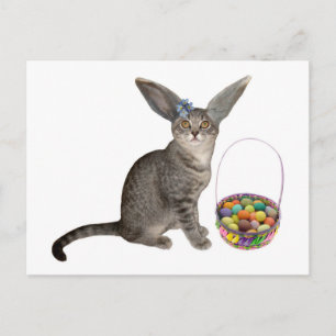 Postales del gatito de Pascua