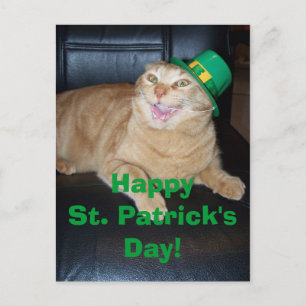 Postales del gato de San Patricio