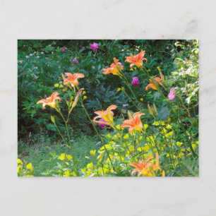 Postales del jardín de verano, pensamientos de inv