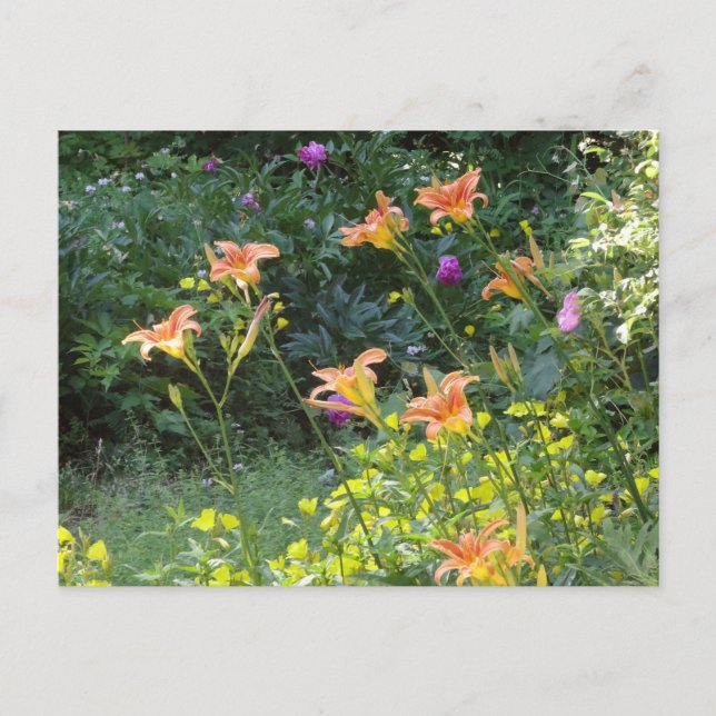 Postales del jardín de verano, pensamientos de inv (Anverso)