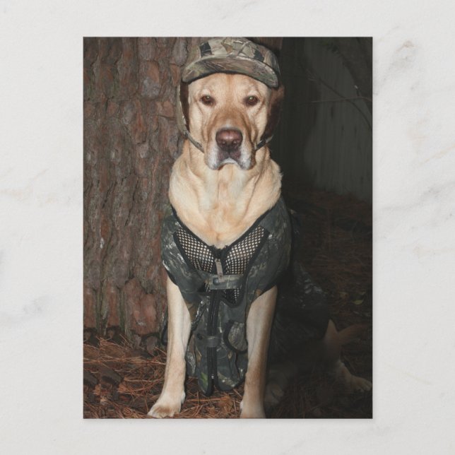 Postales del laboratorio amarillo de caza (Anverso)