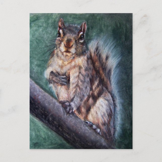 Postales del latido del corazón (ardilla) (Anverso)