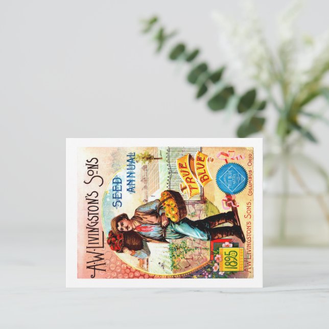 Postales del paquete de semillas. (Anverso de pie)