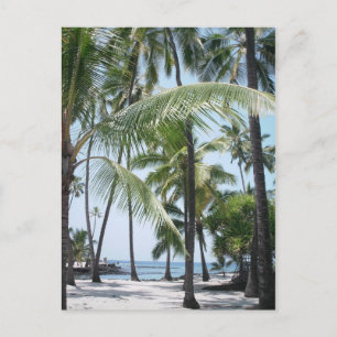 Postales del paraíso hawaiano