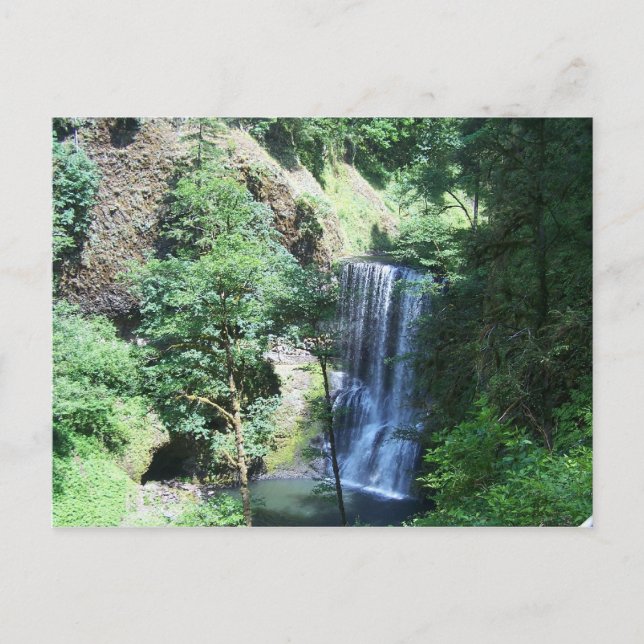 Postales del Parque Estatal Silver Falls (Anverso)