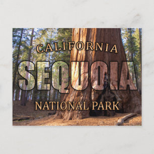 Postales del Parque Nacional Sequoia