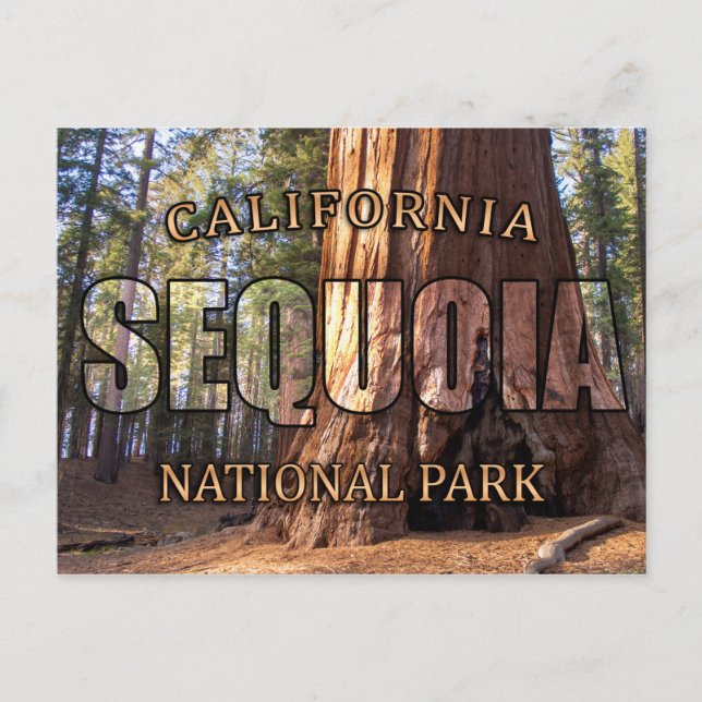 Postales del Parque Nacional Sequoia (Anverso)