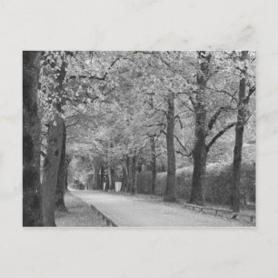 Postales del personalizado "Archway"