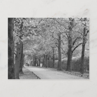 Postales del personalizado "Archway"
