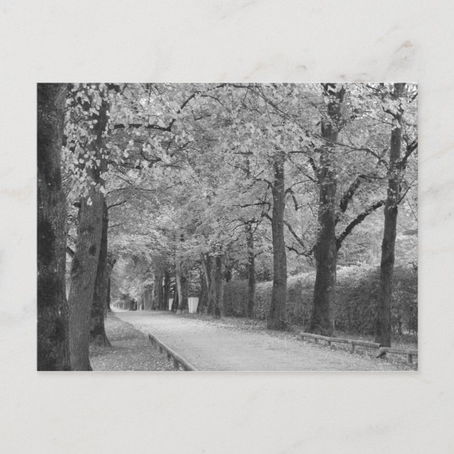 Postales del personalizado "Archway" (Anverso)