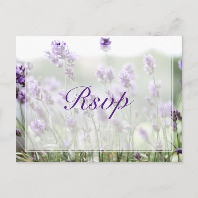 Postales del personalizado Lavender Bohemian Weddi (Anverso)