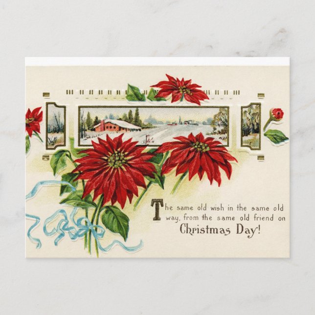Postales del Poinsettia de la flor (Anverso)