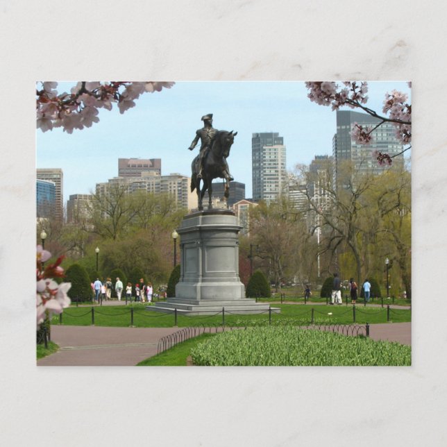 Postales del Public Garden Boston Massachusetts (Anverso)