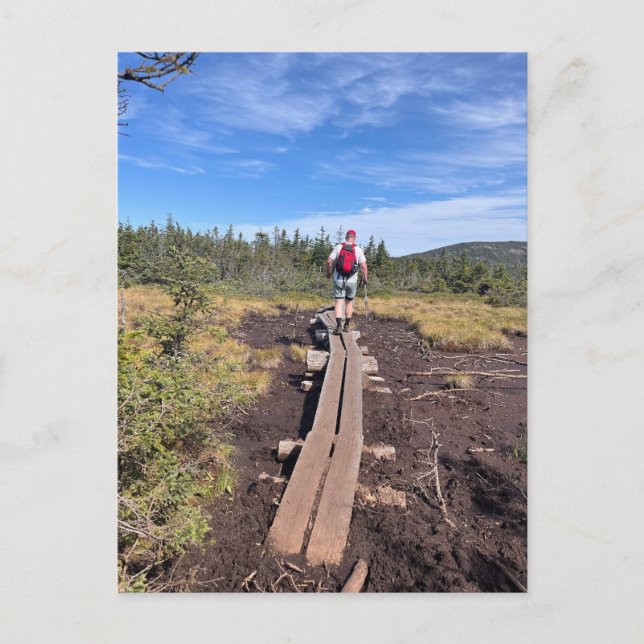 Postales del puente del bog de McJackson y del mon (Anverso)