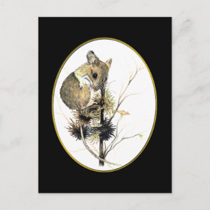 Postales del ratón 2