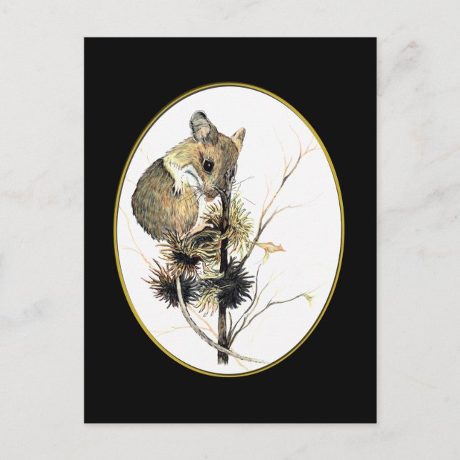 Postales del ratón 2 (Anverso)