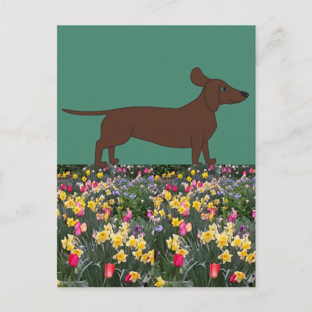 Postales divertidas con Dachshund y campo de flore (Anverso)