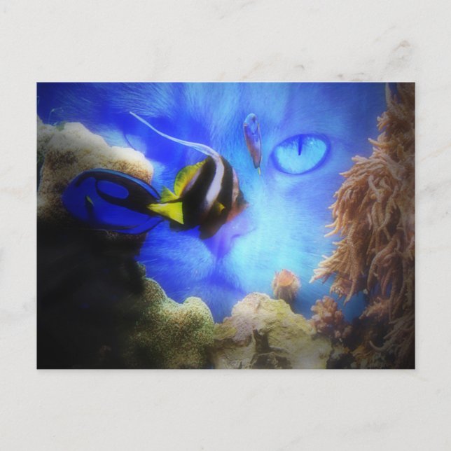 Postales divertidas de gato y pescado (Anverso)