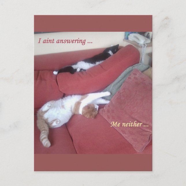 Postales divertidas para gatos perezosos - Catnap (Anverso)