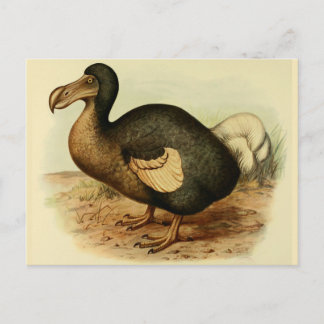 Postales Dodo