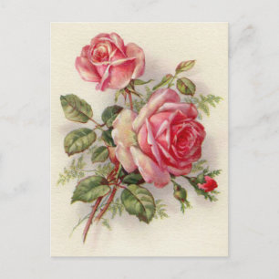 Postales elegantes de rosa floral vintage