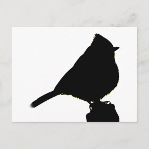 Postales en blanco y negro de Oak Titmouse