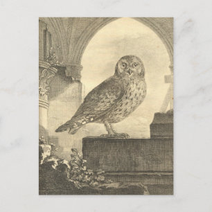 Postales espeluznantes de búho de Halloween