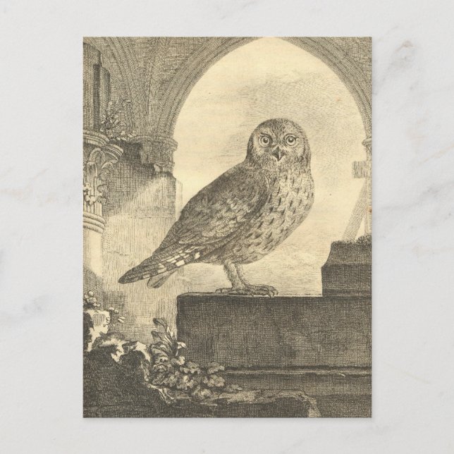 Postales espeluznantes de búho de Halloween (Anverso)