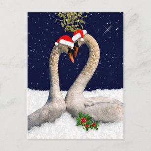 Postales estacionales de Navidades de cisnes
