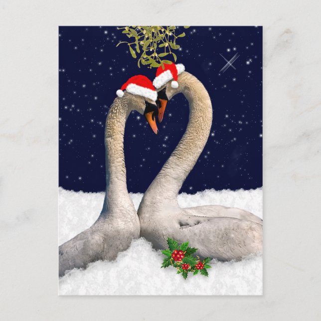 Postales estacionales de Navidades de cisnes (Anverso)