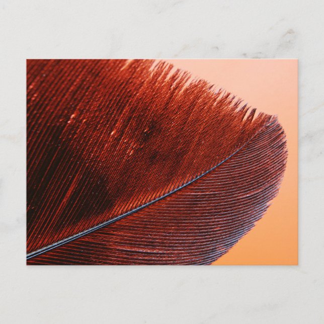 Postales estándar (Anverso)